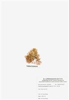 藏品(浪花藻)的圖片